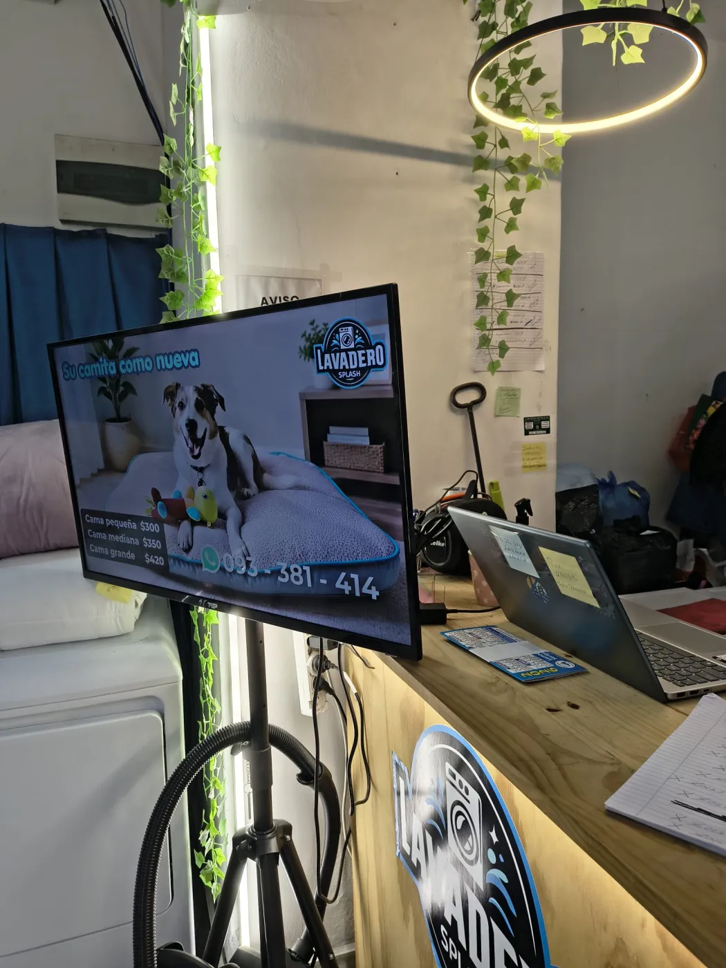 Servicio de lavado de camas de mascota mostrado en la pantalla del local